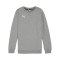 PUMA teamGOAL Casuals Sweatshirt Kids Grau F33 - grau