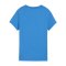 PUMA teamGOAL Casuals T-Shirt Damen Blau F02 - blau