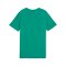 PUMA T-Shirt Kids Grün F05 - gruen