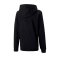 PUMA teamGOAL Kapuzensweatshirt Kids Schwarz F03 - schwarz