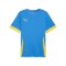 PUMA teamGOAL Matchday Trikot Blau Gelb F16 - blau