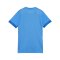 PUMA teamGOAL Matchday Trikot Damen Blau Weiss F02 - blau
