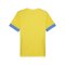 PUMA teamGOAL Matchday Trikot Gelb Blau F17 - gelb