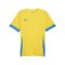 PUMA teamGOAL Matchday Trikot Gelb Blau F17 - gelb