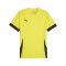 PUMA teamGOAL Matchday Trikot Gelb Schwarz F23 - gelb