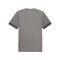 PUMA teamGOAL Matchday Trikot Grau Weiss F13 - grau