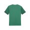 PUMA teamGOAL Matchday Trikot Grün Weiss F05 - gruen
