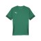 PUMA teamGOAL Matchday Trikot Grün Weiss F05 - gruen