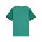 PUMA teamGOAL Matchday Trikot Kids Grün Weiss F05 - gruen