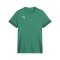 PUMA teamGOAL Matchday Trikot Kids Grün Weiss F05 - gruen