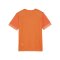 PUMA teamGOAL Matchday Trikot Kids Orange Weiss F08 - orange