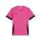 PUMA teamGOAL Matchday Trikot Kids Pink Schwarz F27 - rosa