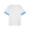 PUMA teamGOAL Matchday Trikot Kids Weiss Blau F12 - weiss