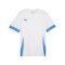 PUMA teamGOAL Matchday Trikot Weiss Blau F12 - weiss