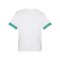 PUMA teamGOAL Matchday Trikot Weiss Grün F15 - weiss