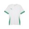 PUMA teamGOAL Matchday Trikot Weiss Grün F15 - weiss