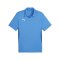 PUMA teamGOAL Poloshirt Blau F02 - hellblau