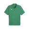 PUMA teamGOAL Poloshirt Grün F05 - gruen