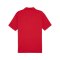 PUMA teamGOAL Poloshirt Rot F01 - rot