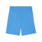 PUMA teamGOAL Short Blau Weiss F02 - blau