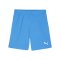 PUMA teamGOAL Short Blau Weiss F02 - blau