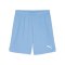 PUMA teamGOAL Short Blau Weiss F18 - blau