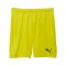 PUMA teamGOAL Short Gelb F23 - gelb