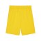 PUMA teamGOAL Short Gelb Schwarz F07 - gelb