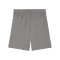 PUMA teamGOAL Short Grau Weiss F13 - grau