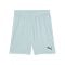 PUMA TeamGOAL Short Grün F41 - gruen