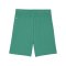 PUMA teamGOAL Short Grün Weiss F05 - gruen
