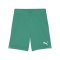 PUMA teamGOAL Short Grün Weiss F05 - gruen
