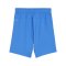 PUMA teamGOAL Short Kids Blau Weiss F02 - blau