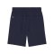PUMA teamGOAL Short Kids Blau Weiss F06 - blau