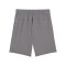 PUMA teamGOAL Short Kids Grau Weiss F13 - grau