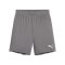 PUMA teamGOAL Short Kids Grau Weiss F13 - grau
