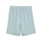 PUMA teamGOAL Short Kids Grün F41 - gruen