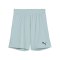 PUMA teamGOAL Short Kids Grün F41 - gruen
