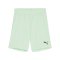 PUMA teamGOAL Short Kids Grün Schwarz F60 - gruen