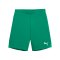 PUMA teamGOAL Short Kids Grün Weiss F05 - gruen