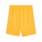 PUMA teamGOAL Short Kids Orange Schwarz F61 - orange