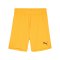 PUMA teamGOAL Short Kids Orange Schwarz F61 - orange