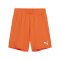 PUMA teamGOAL Short Kids Orange Weiss F08 - orange