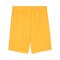 PUMA teamGOAL Short Orange Schwarz F61 - orange