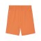 PUMA teamGOAL Short Orange Weiss F08 - orange