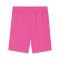 PUMA teamGOAL Short Pink Schwarz F25 - rosa