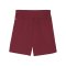 PUMA teamGOAL Short Rot Weiss F09 - rot
