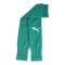 PUMA teamGOAL Sleeves Grün Weiss F05 - gruen