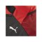 PUMA teamGoal Sporttasche Gr. M Rot F03 - rot