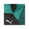 PUMA teamGoal Sporttasche Gr. S Grün F04 - gruen